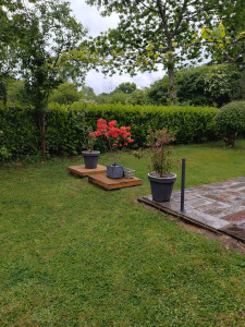 Photo de galerie - .
