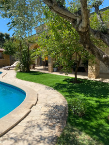 Photo de galerie - Paysagiste - Aménagement du jardin