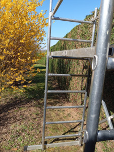 Photo de galerie - Taille de 72 ML de haies sur 2M30 de hauteur