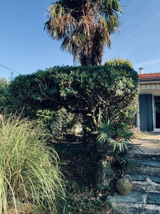 Photo de galerie - Après rafraîchissement 