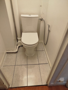 Photo de galerie - Pose de carrelage et toilette 