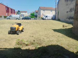 Photo de galerie - Tonte de pelouse - Débroussaillage