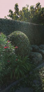 Photo de galerie - Taille 