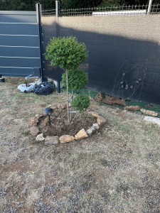 Photo de galerie - Jardinage, paysagiste