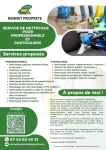 Photo de galerie - Nettoyeur haute pression / Karcher