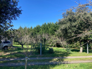 Photo de galerie - Avant 