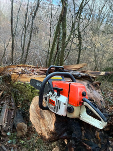 Photo de galerie - Coupe de bois en forêt 