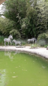 Photo de galerie - Création d'un jardin 