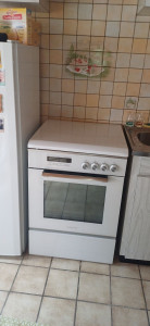 Photo de galerie - Donc nettoyage four plus plaque et frigo 