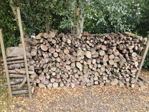 Photo de galerie - Rangement de bois