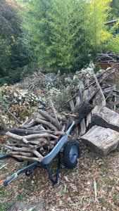Photo de galerie - Paysagiste - Aménagement du jardin