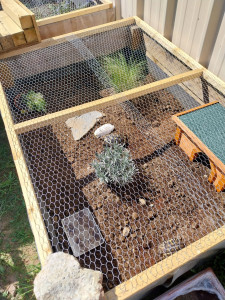 Photo de galerie - Création d'un enclos sécurisé pour tortue