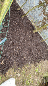 Photo de galerie - Nettoyage et pose d’écorce 