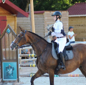 Photo de galerie - Garde animaux