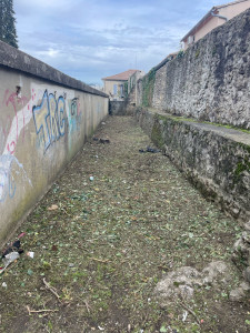 Photo de galerie - Tonte de pelouse - Débroussaillage