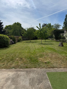 Photo de galerie - Pour un jardin non entretenue depuis 1 ans 