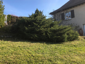 Photo de galerie - Jardinier