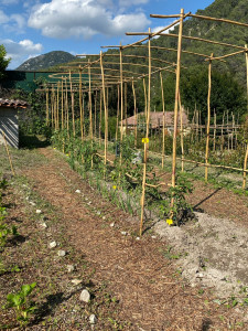 Photo de galerie - Paysagiste - Aménagement du jardin