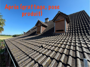 Photo de galerie - Nettoyage couverture grattage à la main et passage produit