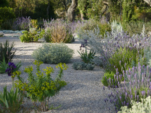 Photo de galerie - Jardin sur gravier