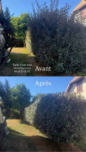 Photo de galerie - Avant - Après d’une haie taillée