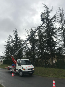 Photo de galerie - Rabaissement sapin