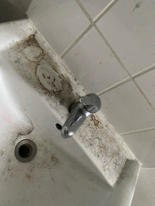 Photo de galerie - Lavabo 