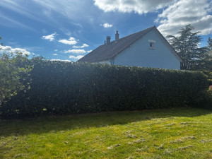 Photo de galerie - Taille de haies 