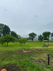 Photo de galerie - Après 