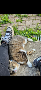 Photo de galerie - Session câlins 