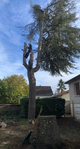 Photo de galerie - Abattage d’un pains d’une quinzaine de mettre proche d’une toiture de maison. Intervention réussi grâce a notre savoir-faire.