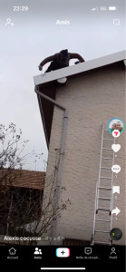 Photo de galerie - Rénovation d’une toiture avec peinture 