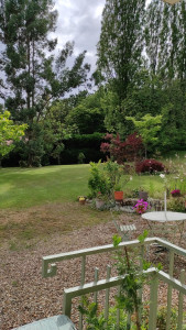 Photo de galerie - Tonde d'une pelouse chez un particulier. Jardin de 1500 M2.