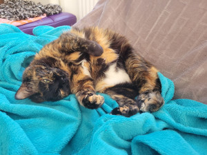 Photo de galerie - . 