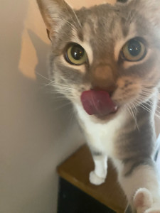 Photo de galerie - Petite Plume qui a bien mangé :)