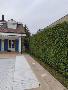 Photo de galerie - Paysagiste - Aménagement du jardin