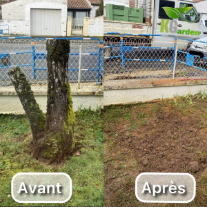 Photo de galerie - Dessouchage de tronc 