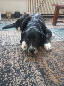 Photo de galerie - ❤️