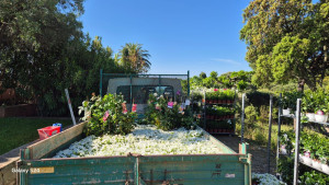 Photo de galerie - Paysagiste - Aménagement du jardin