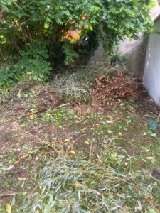 Photo de galerie - Ramassage de feuilles et d’armes