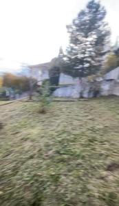 Photo de galerie - Tonte de pelouse - Débroussaillage