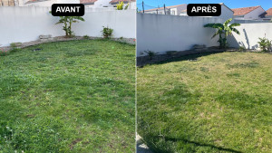 Photo de galerie - Désherbage manuel avant semis

