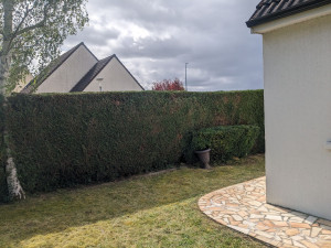 Photo de galerie - Taille de haie de thuya à villecresnes