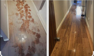 Photo de galerie - Je suis très contente de mon travail 