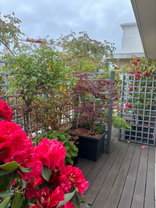 Photo de galerie - Jardinier