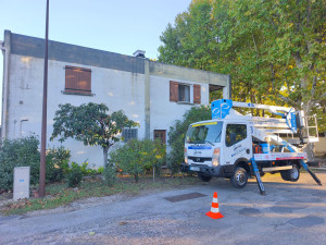 Photo de galerie - Peinture - Tapisserie