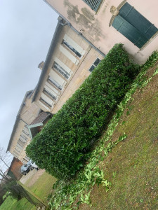 Photo de galerie - Taille 