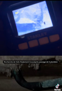 Photo de galerie - Recherche de fuit Limoges 