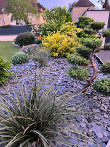 Photo de galerie - Création jardin 