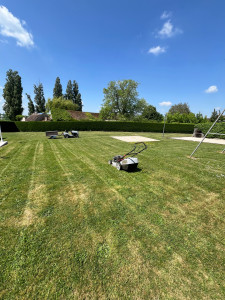 Photo de galerie - Tonte pelouse 